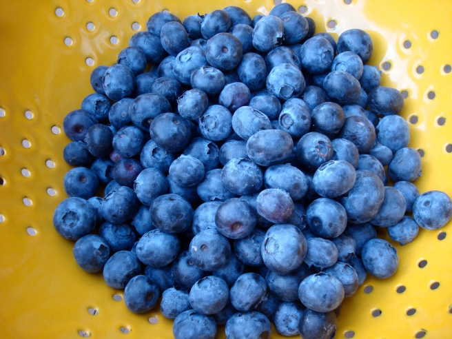 Blueberry Teff Power Muffins {gluten-free, vegan}